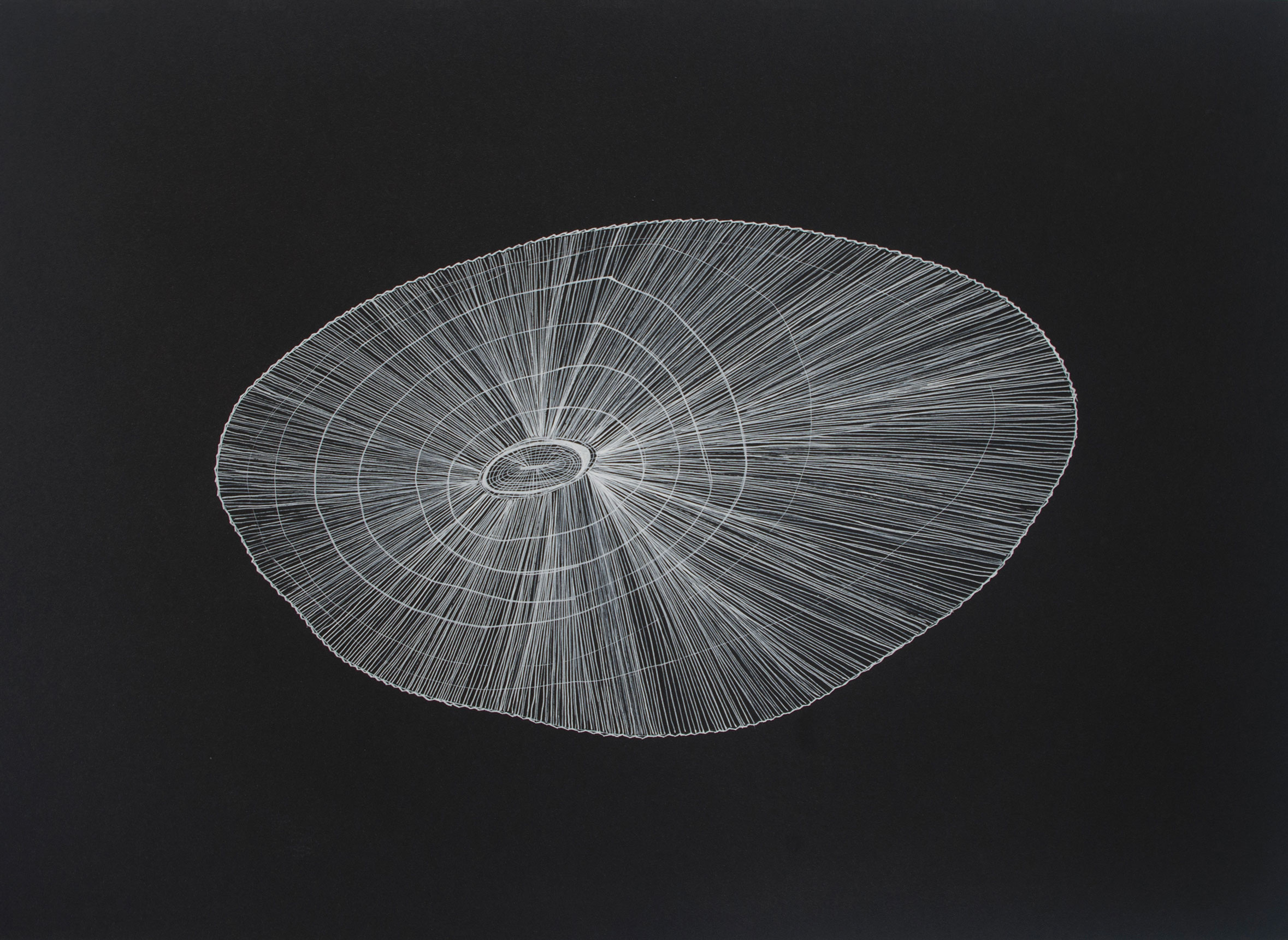 Rita Alaoui - OBJET TROUVÉ - 2014 - N1 N3 - N4 - N7 - N8 - N13 - Acrylique sur papier 65 x 70 cm